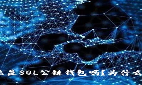 你知道什么是SOL公链钱包吗?为什么它这么火?