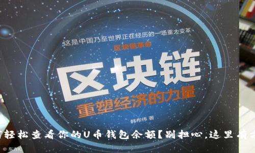 如何轻松查看你的U币钱包余额?别担心,这里有方法!
