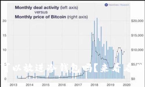 USDT币可以放进冷钱包吗?来看看你的选择!
