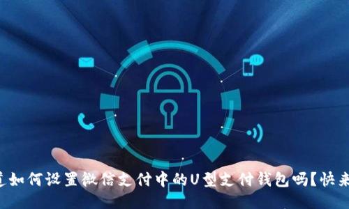 你知道如何设置微信支付中的U型支付钱包吗?快来看看!