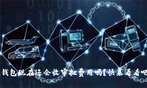 u钱包现在还会收审批费用吗?快来看看吧!