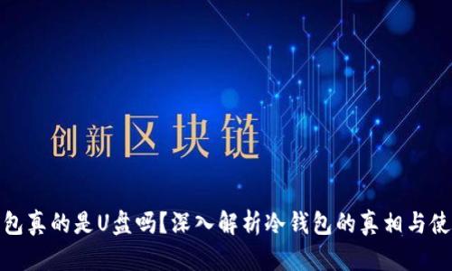 : 冷钱包真的是U盘吗?深入解析冷钱包的真相与使用技巧
