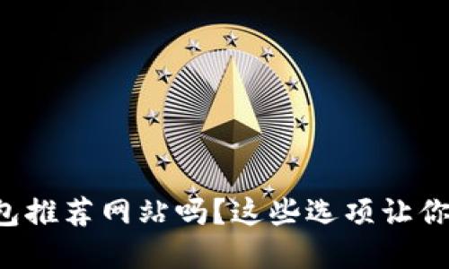 你还在找比特币钱包推荐网站吗?这些选项让你的数字资产更安全!