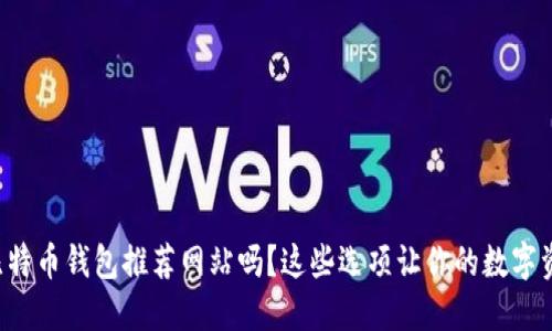 你还在找比特币钱包推荐网站吗?这些选项让你的数字资产更安全!