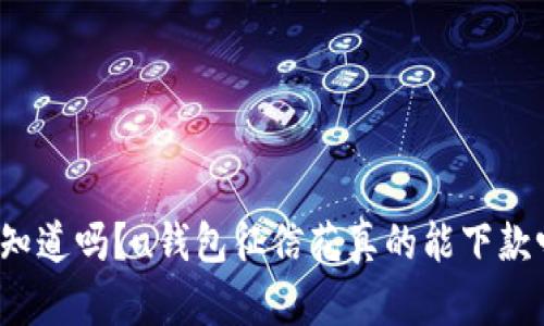 你知道吗?u钱包征信花真的能下款吗?