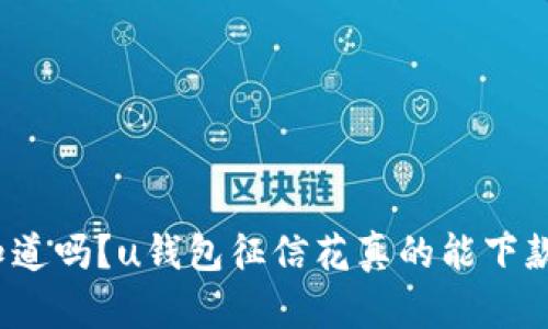 你知道吗?u钱包征信花真的能下款吗?