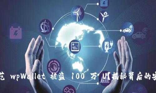 如何防范 wpWallet 被盗 100 万 U?揭秘背后的安全隐患