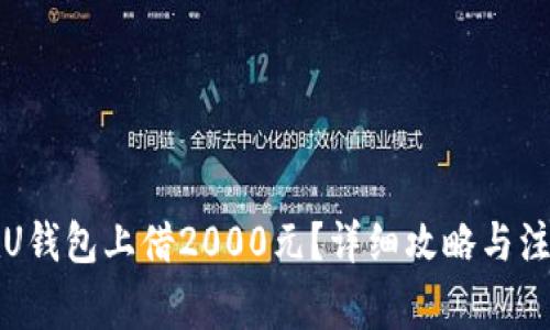 如何在U钱包上借2000元?详细攻略与注意事项