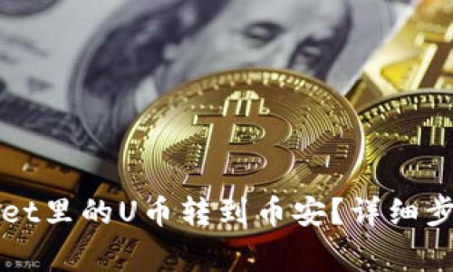 如何将tpWallet里的U币转到币安?详细步骤和注意事项