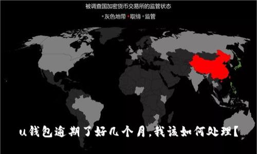 u钱包逾期了好几个月,我该如何处理?