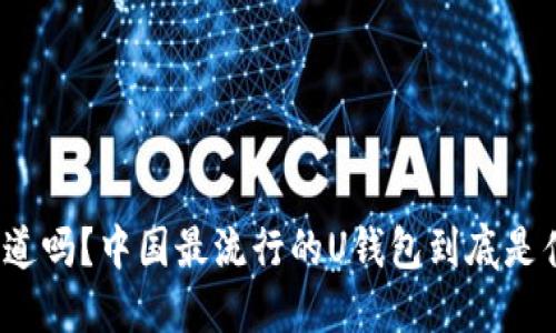 你知道吗?中国最流行的U钱包到底是什么?