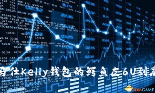 你知道吗?爱马仕Kelly钱包的鳄鱼皮6U到底值不值得买?