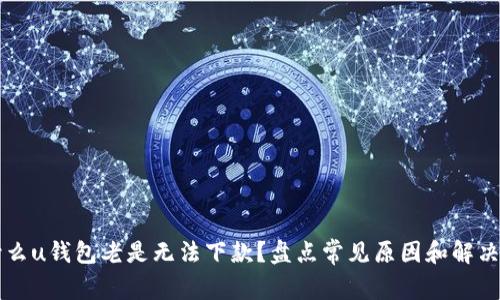 为什么u钱包老是无法下款?盘点常见原因和解决方案