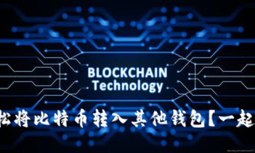 如何轻松将比特币转入其他钱包?一起聊聊吧!