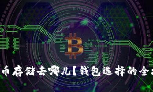 比特币存储去哪儿?钱包选择的全攻略!