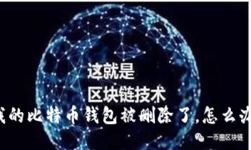 我的比特币钱包被删除了,怎么办?