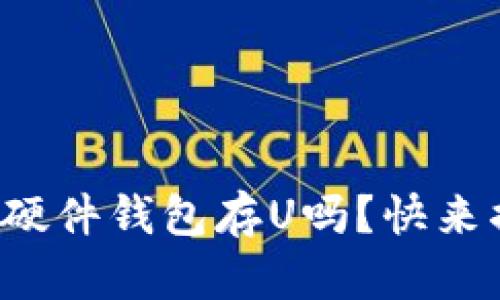 你知道什么是硬件钱包存U吗?快来揭秘它的秘密!
