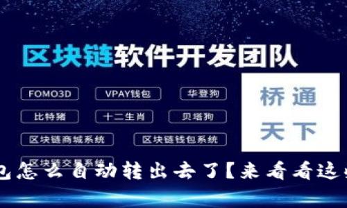 我的U币钱包怎么自动转出去了?来看看这些常见原因!