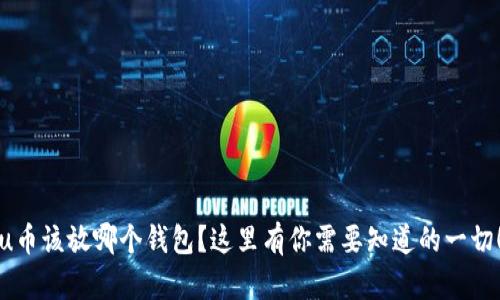 u币该放哪个钱包?这里有你需要知道的一切!