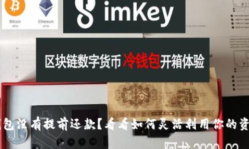 U钱包没有提前还款?看看如何灵活利用你的资金!