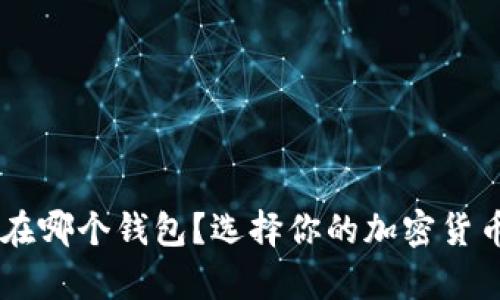 U 可以放在哪个钱包?选择你的加密货币存储方案