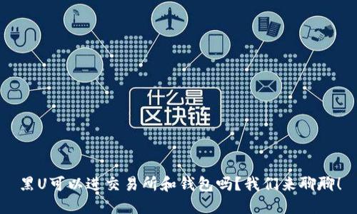 黑U可以进交易所和钱包吗?我们来聊聊!