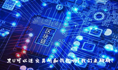 黑U可以进交易所和钱包吗?我们来聊聊!