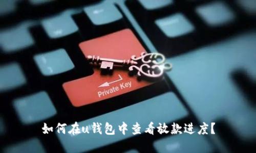 如何在u钱包中查看放款进度?