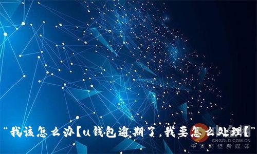 “我该怎么办?u钱包逾期了,我要怎么处理?”