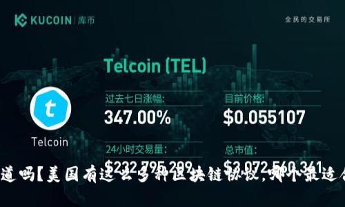 你知道吗?美国有这么多种区块链协议,哪个最适合你?