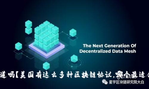 你知道吗?美国有这么多种区块链协议,哪个最适合你?