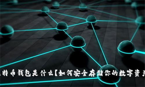 比特币钱包是什么?如何安全存储你的数字资产?