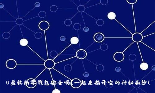 U盘收纳零钱包安全吗?一起来揭开它的神秘面纱!