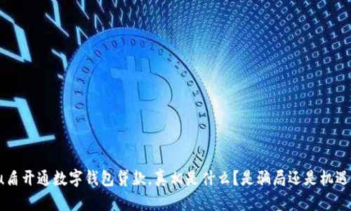 u盾开通数字钱包贷款,真相是什么?是骗局还是机遇?