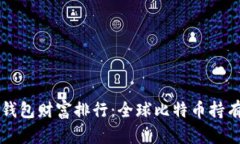 比特币钱包财富排行:全球比特币持有量分析