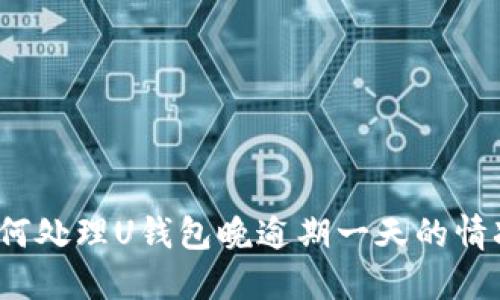 如何处理U钱包晚逾期一天的情况?