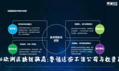 揭秘欧洲区块链骗局:警惕这些不法公司与投资