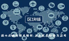 国内区块链项目解析：未来发展趋势与应用