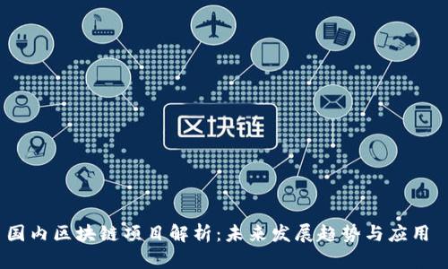 国内区块链项目解析：未来发展趋势与应用 