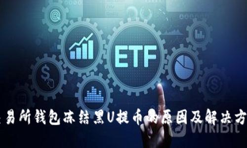 交易所钱包冻结黑U提币的原因及解决方案