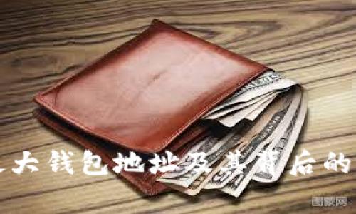 比特币最大钱包地址及其背后的价值分析