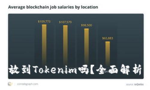 狗狗币可以放到Tokenim吗？全面解析与投资建议