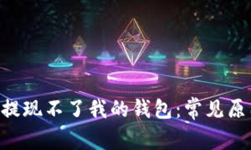 为什么U智洗提现不了我的钱包：常见原因与解决方案