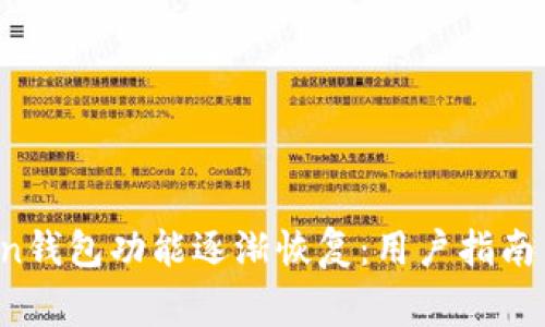 Plus Token钱包功能逐渐恢复：用户指南与注意事项