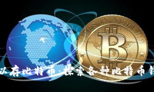 什么钱包可以存比特币：探索各种比特币钱包及其特点