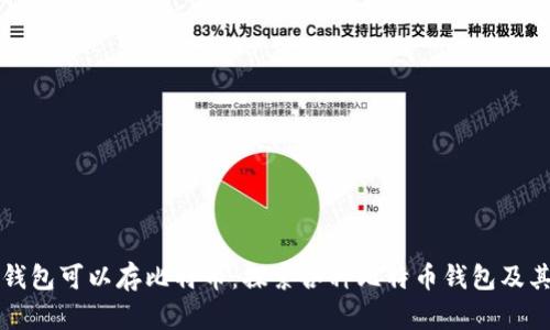 什么钱包可以存比特币：探索各种比特币钱包及其特点