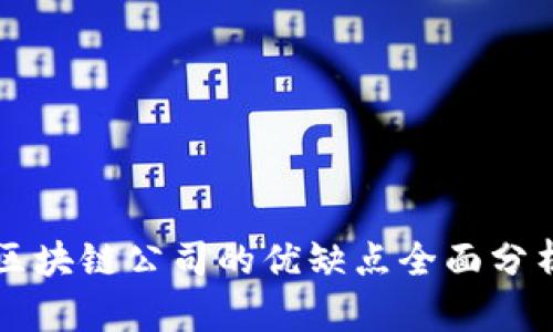 区块链公司的优缺点全面分析