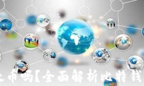 
比特钱包能存储以太币吗？全面解析比特钱包的币种支持与使用
