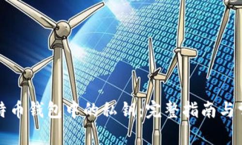 如何生成比特币钱包中的私钥：完整指南与常见问题解答