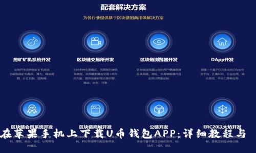 如何在苹果手机上下载U币钱包APP：详细教程与 FAQs